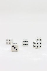 Dice on white background