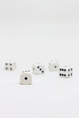 Dice on white background