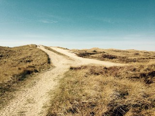 Weggabelung an der Düne