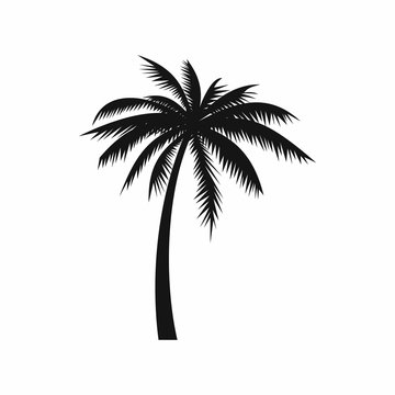 Coconut palm tree icon, simple style