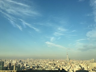 Naklejka premium 東京秋空