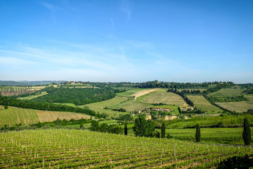 Fototapeta na wymiar Toscana - Itália