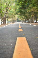 Yellow line marking on road surface in the park