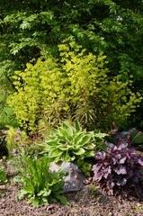 Grünpflanzen wachsen im Garten mit Steindekoration