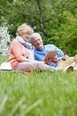 Fototapeta premium Picnic senior couple