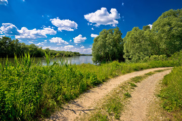 Fototapeta na wymiar River Drava landscape and path
