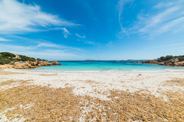 Capriccioli beach on a cloudy day