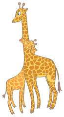 Obraz premium Baby giraffe with mother