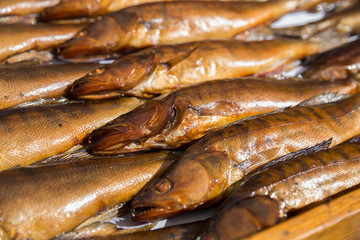 Pike perch smoked