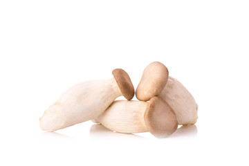 King Oyster mushroom (Eringi) on white backgroud