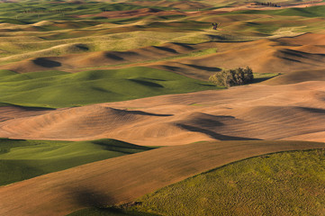 Washington Palouse. A spectacular sunset view from Steptoe Butte State Park of the surrounding...