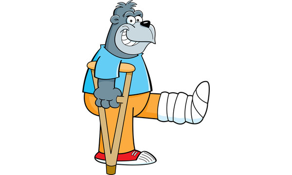 recommend clip art: Cartoon illustration of a gorilla on crutches with his leg in a cast.