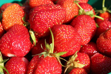 ripe red strawberries