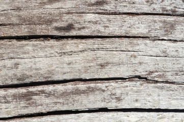 Old white wood texture