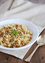Mushrooms Risotto