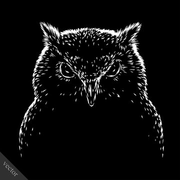 Black And White Engrave Evil Vector Owl Bird