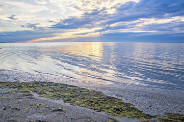 Beautiful sunrise over the sea, the algae on the coast