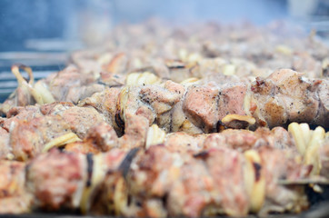 Grilled shish kebabs on skewers