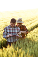 Naklejka na ściany i meble Two farmer standing in a wheat field and looking at tablet, They are examining corp.