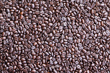 Background made from overhead view of coffee beans