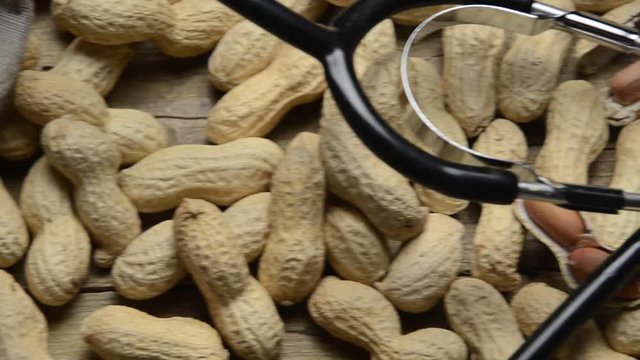 Chuqupa Arachide Araxis મગફળી არაქისი Peanut Spagnolette סטאשקע Noccioline Duhdoem americane Bagigi Calacavisi Scachetti Cecini Fistiqa ax&ecirc; Galette भुईमूग Caccaetti &alpha;&rho;&alpha;&chi;ί&delta;&alpha; Arachidi Th&igrave;-th&egrave;u