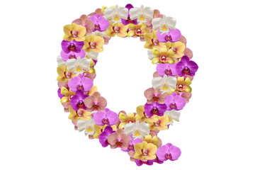 Letter q made of flowers
