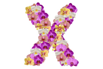 Letter x made of flowers