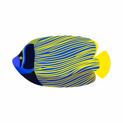 Naklejka premium Tropical angelfish icon, cartoon style