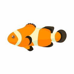 Clown fish icon, cartoon style