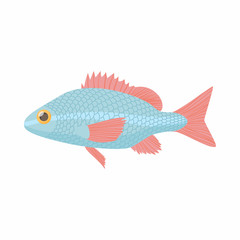 Fish carp icon, cartoon style