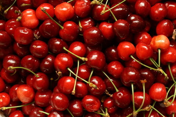 Close-up photo of fresh cherries.