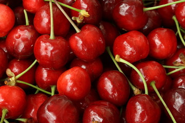 Close-up photo of fresh cherries.