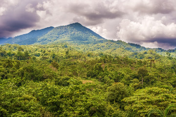 Naklejka premium Panamski krajobraz górski