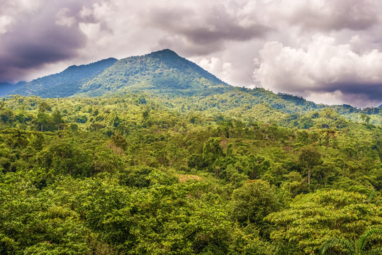 Panama Mountain Landscape