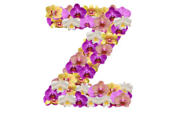 Letter z made of flowers
