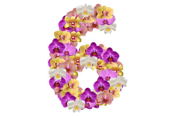 Number four made of flower