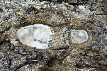 Muddy footprint - 111543299