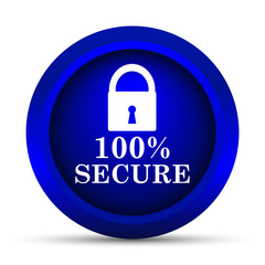 100 percent secure icon