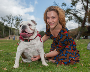 English Bulldog looking content with attractive woman.