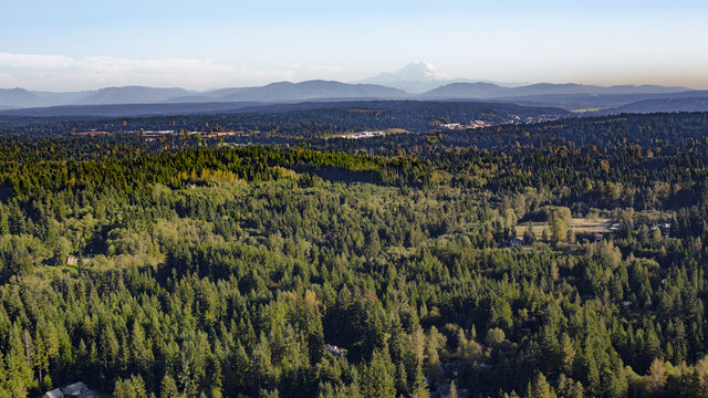 Bothell Mill Creek, Washington Suburban Forest Aerial - Mount Rainier and Cascade Mountains Backdrop