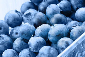 Organic blueberries in food container - close up studio shot