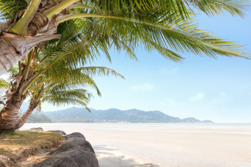 Fototapeta na wymiar Palm tree and beach on tropical island in the morning.