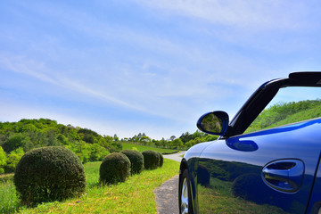 新緑とオープンカー