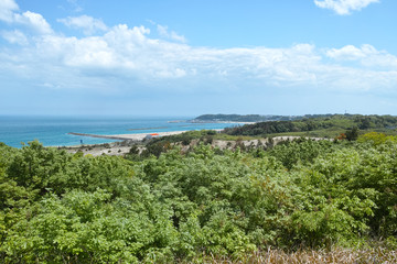 風景（ひたち海浜公園）