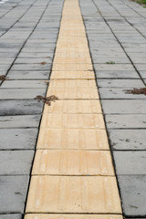 Blind guide on sidewalk