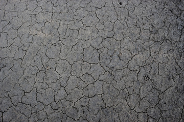 Dry soil background.