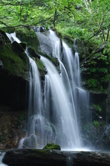 Fototapeta na wymiar 猿壺の滝