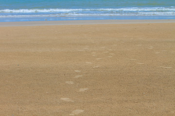 Footprint on sand beach