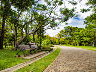 Bench in green city park