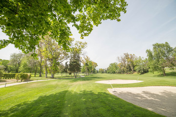 Golf bunkers with trees 